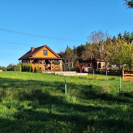 Domek Nad Stawem Bory Tucholskie Swiekatowo Luaran gambar